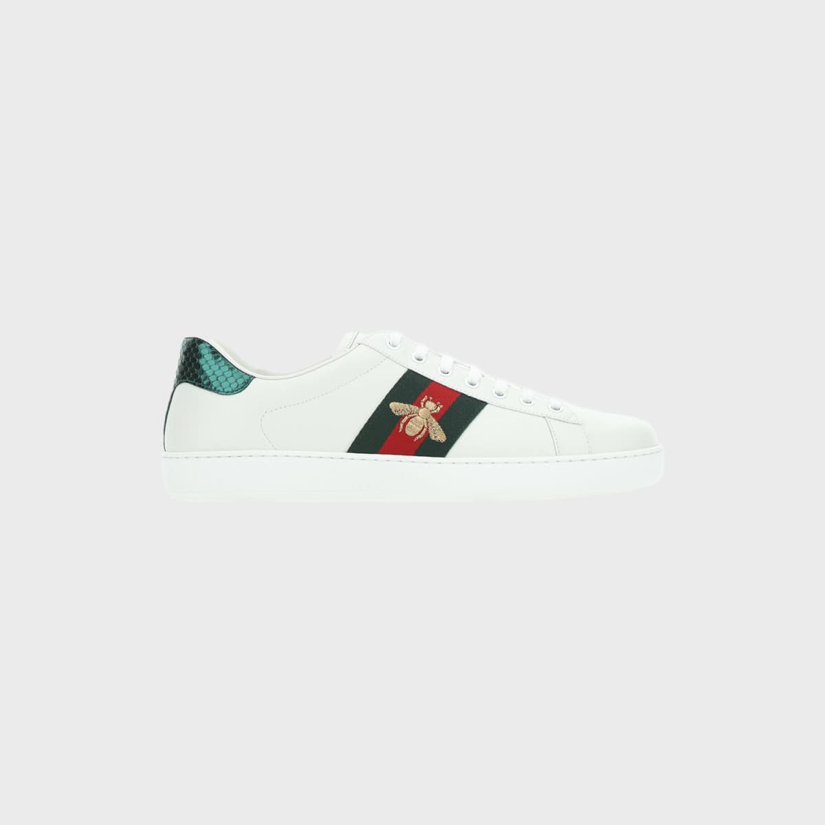Gucci Ace Web
