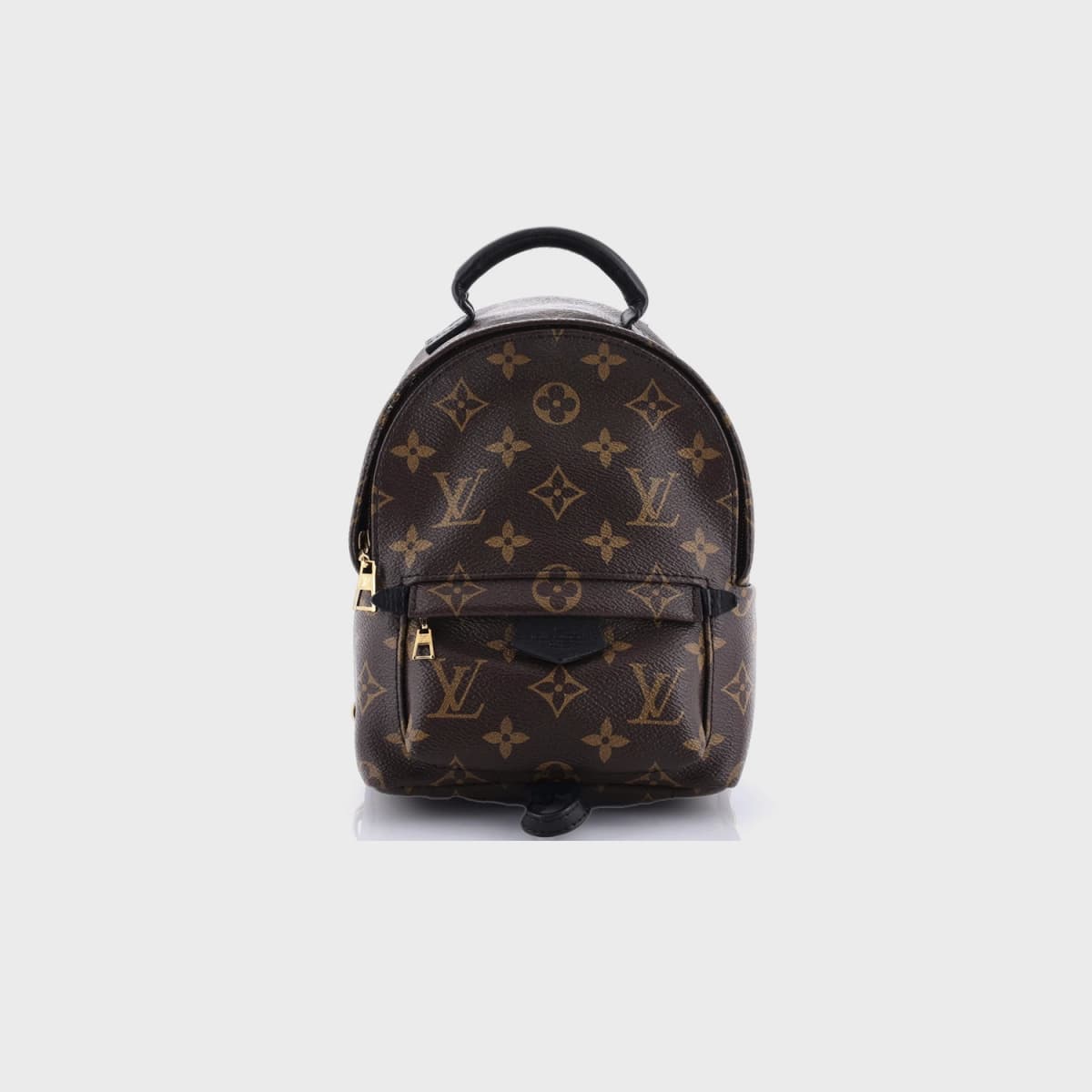 Louis Vuitton Palm Springs Monogram Canvas