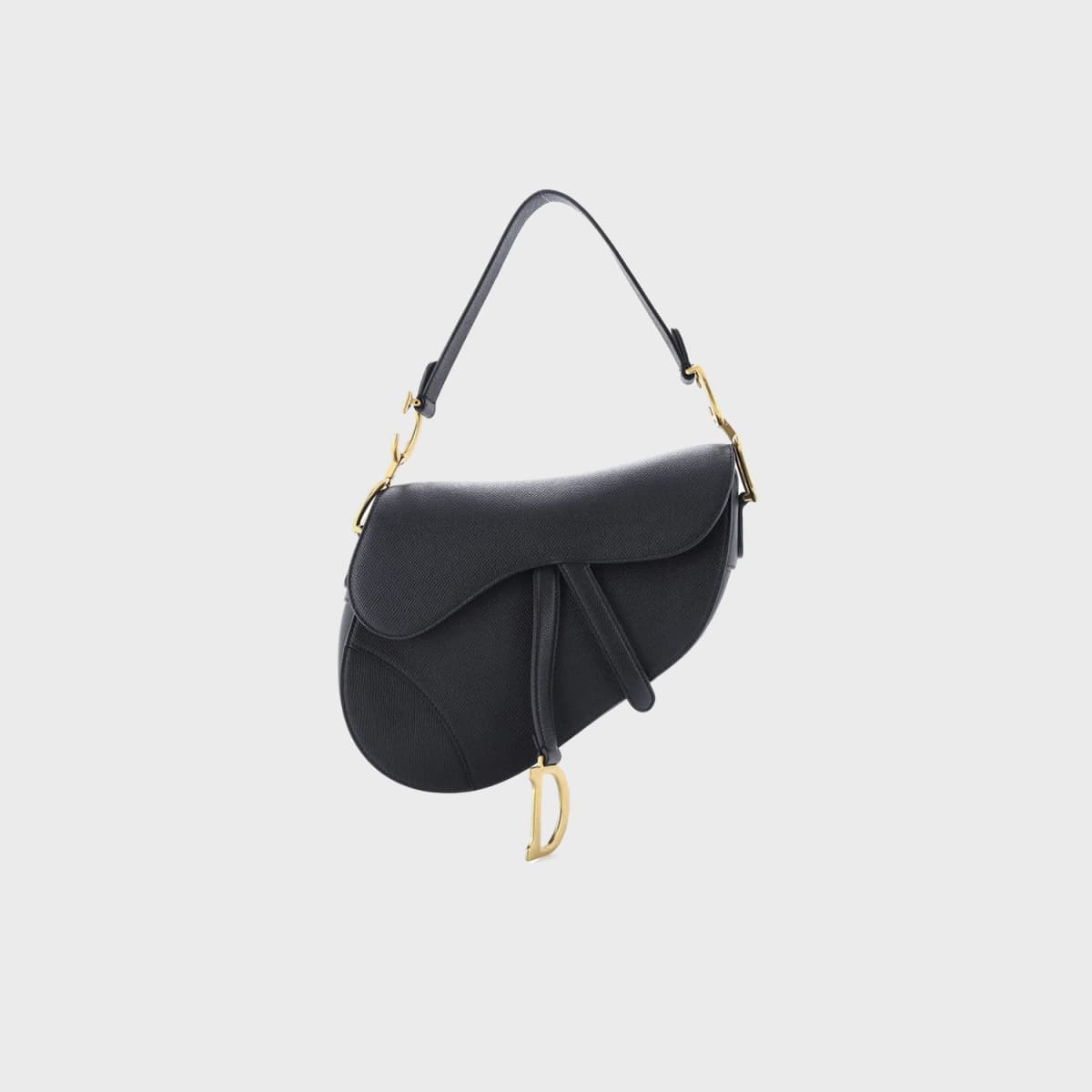 Christian Dior Saddle