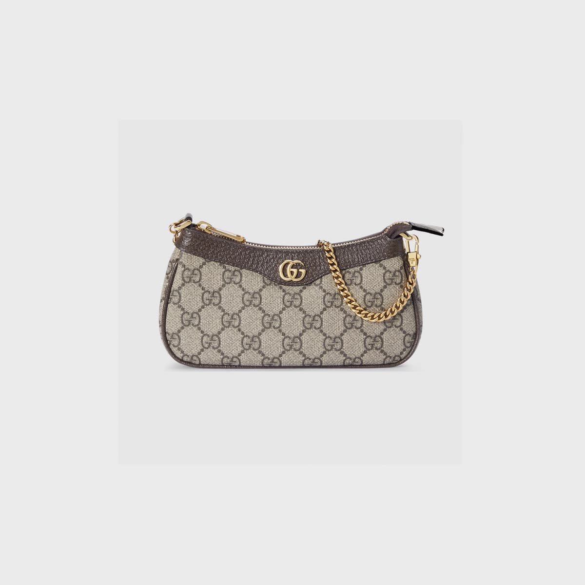 Gucci Mini Ophidia
