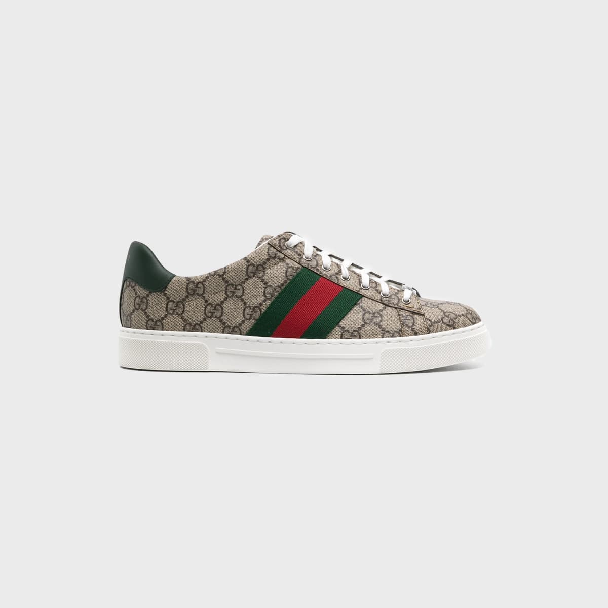 Gucci Ace Web