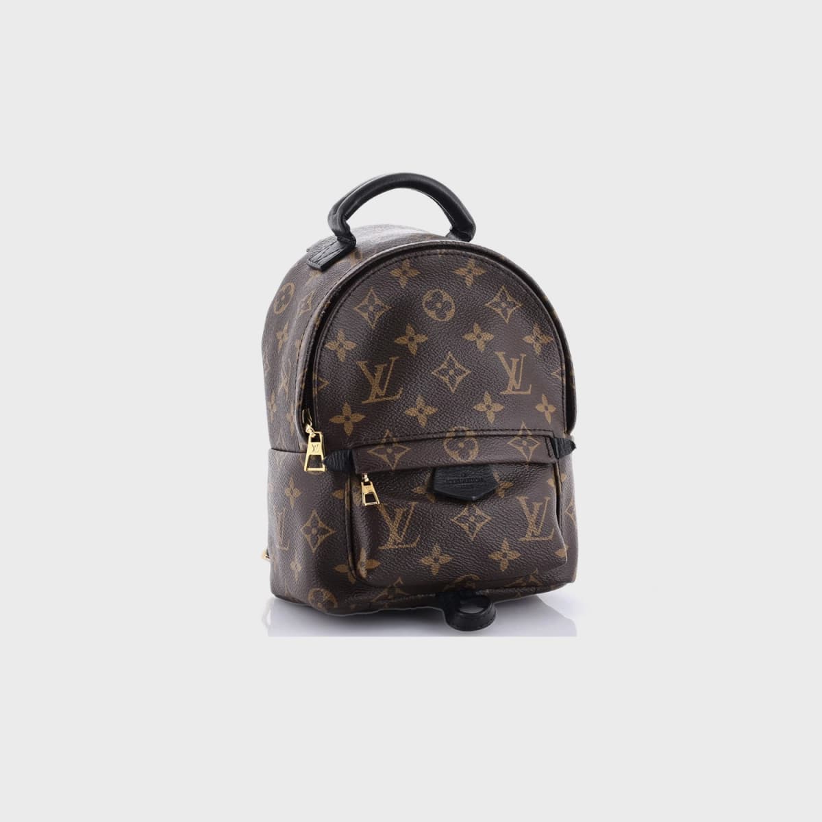 Louis Vuitton Palm Springs Monogram Canvas