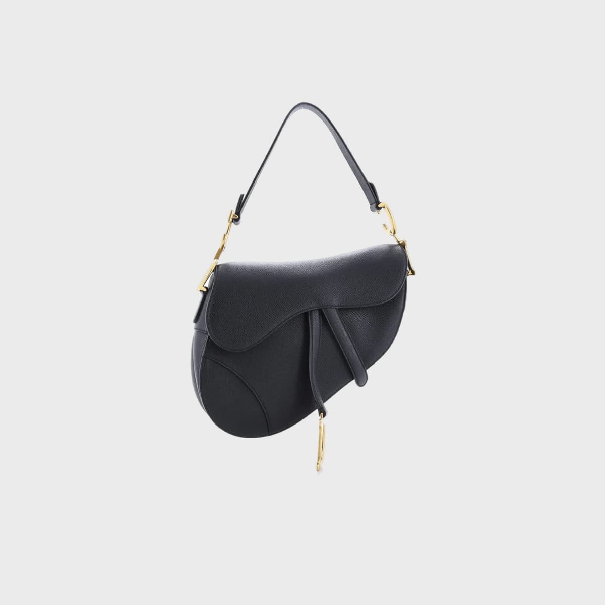 Christian Dior Saddle