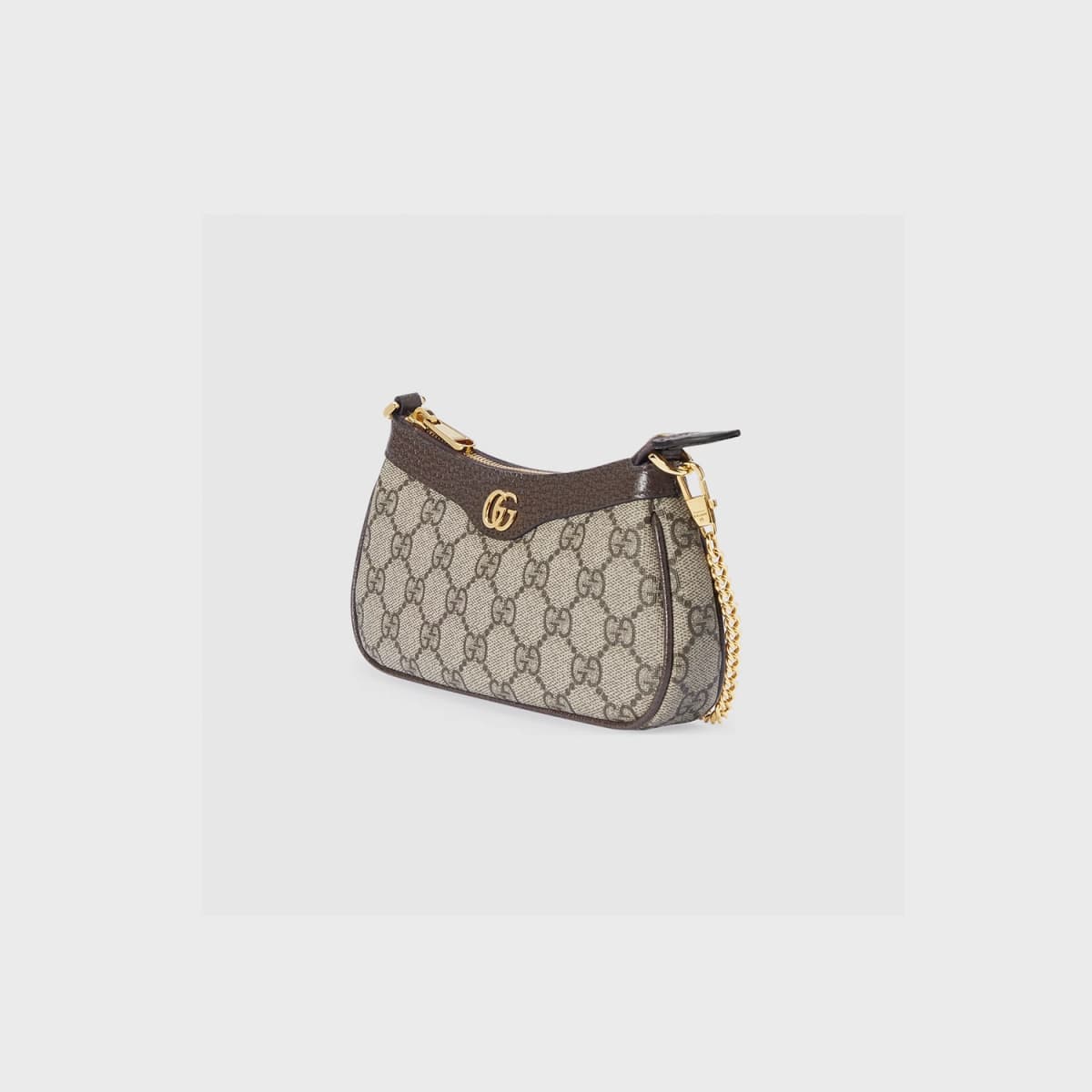 Gucci Mini Ophidia