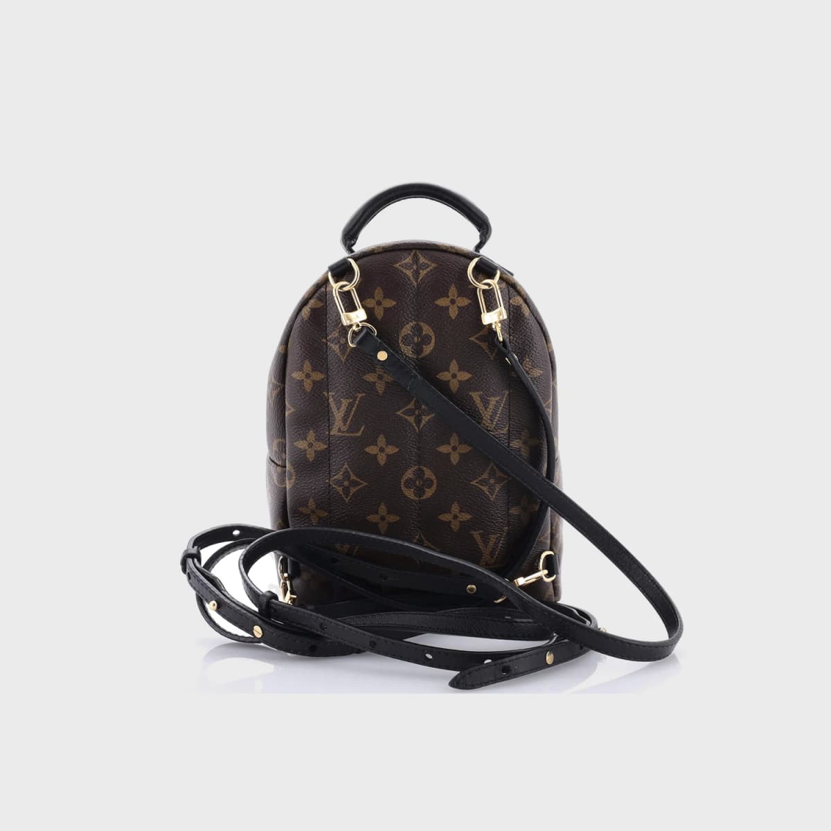 Louis Vuitton Palm Springs Monogram Canvas