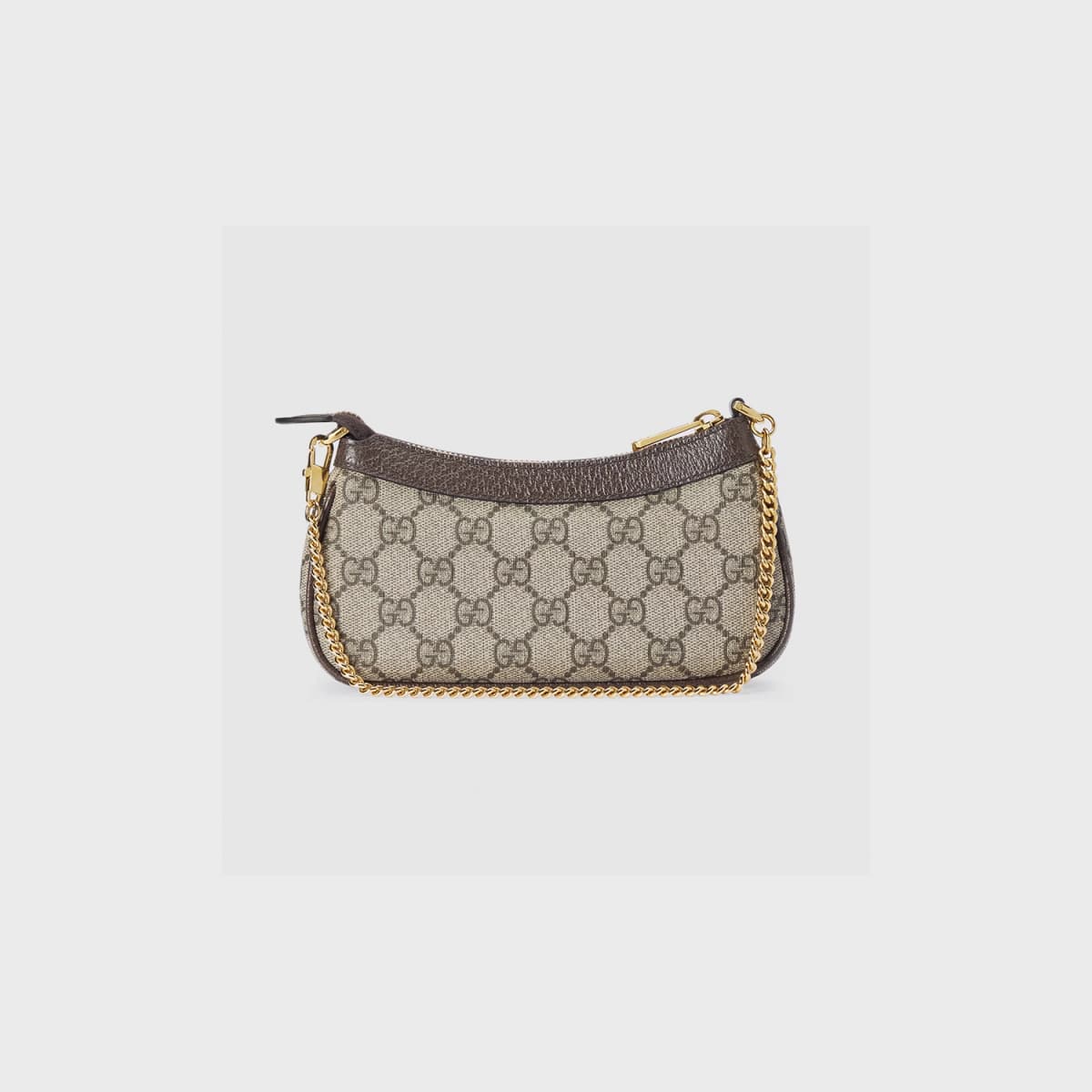 Gucci Mini Ophidia