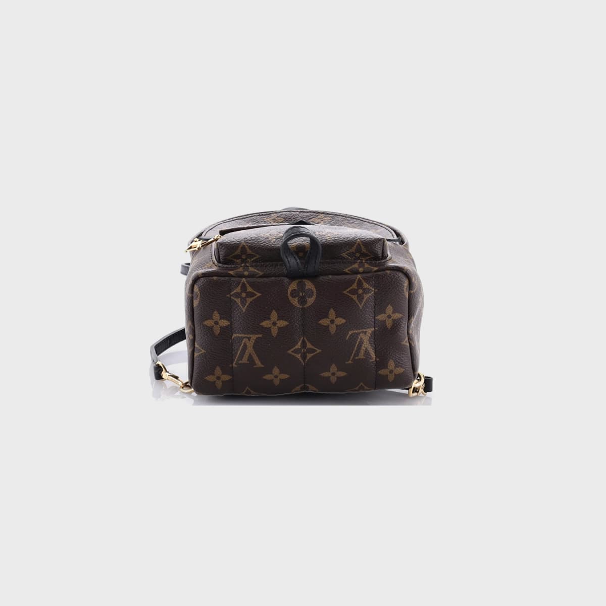 Louis Vuitton Palm Springs Monogram Canvas
