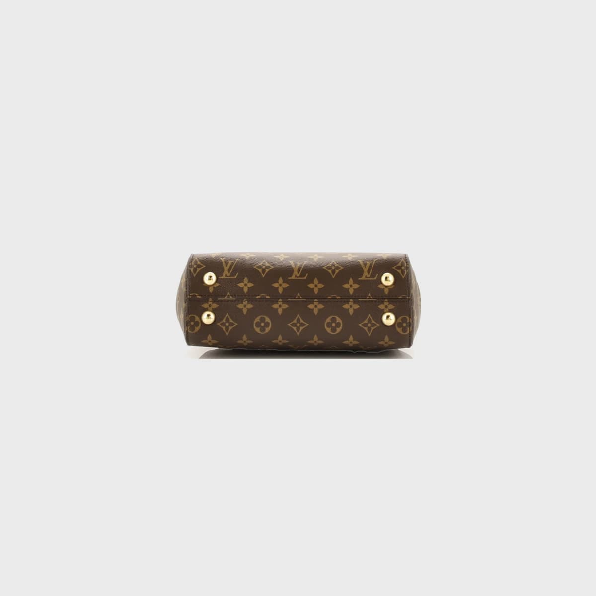Louis Vuitton Cluny