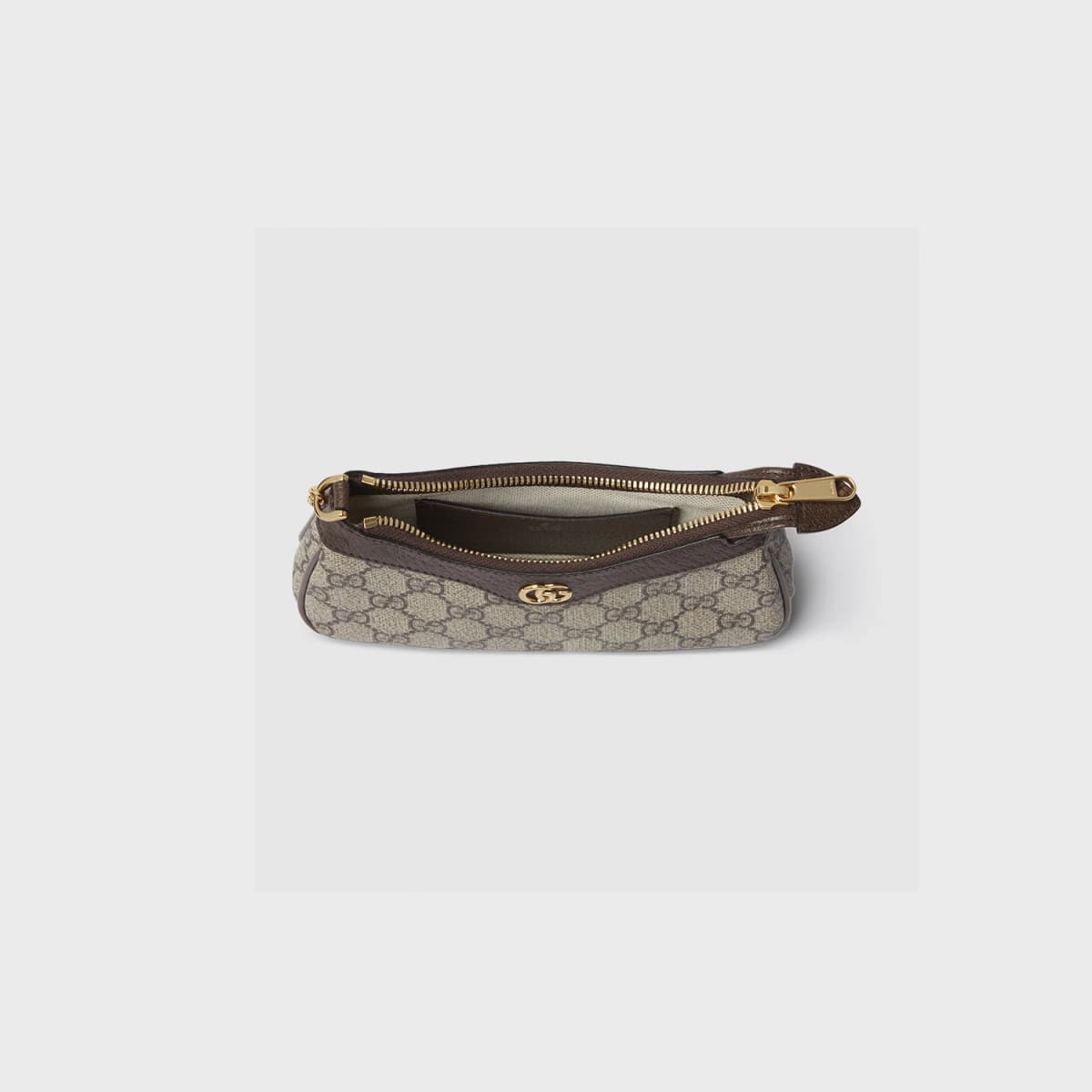 Gucci Mini Ophidia