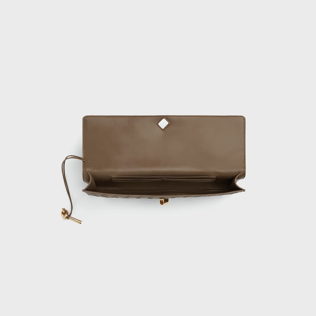 Bottega Veneta Andiamo Clutch