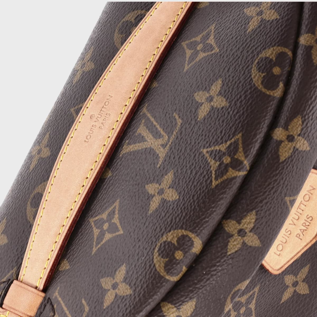 Louis Vuitton Bum Monogram