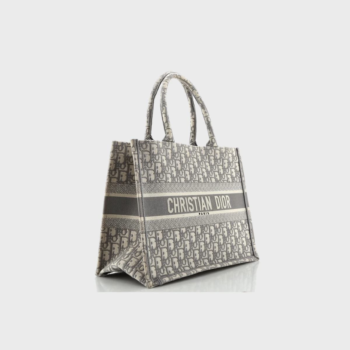 Christian Dior Book Tote