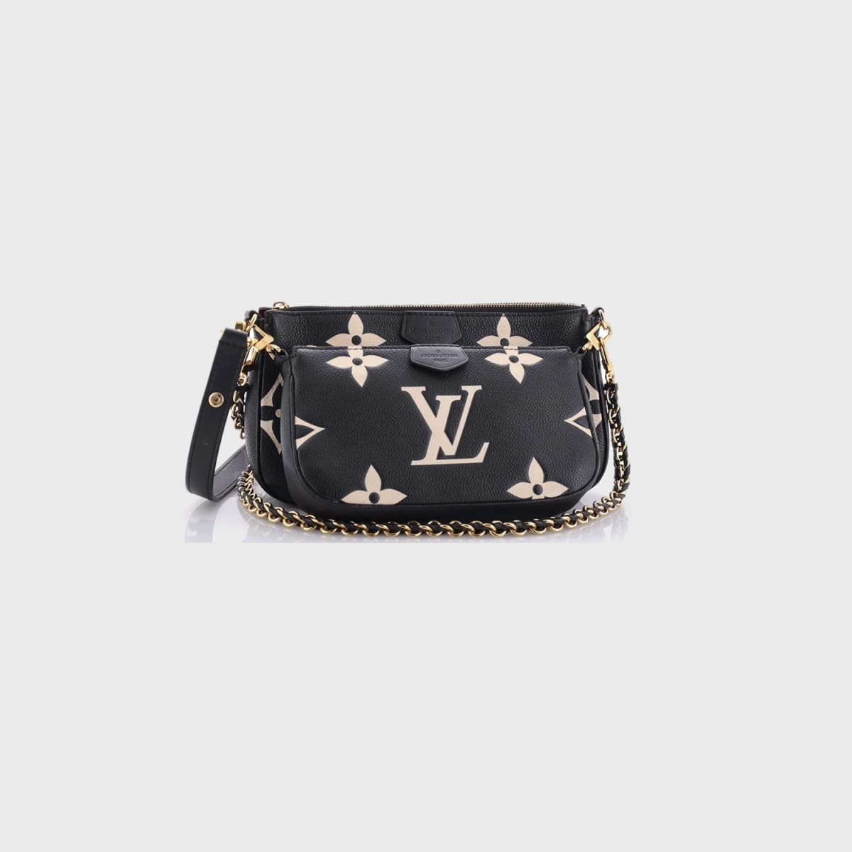 Louis Vuitton Multi
