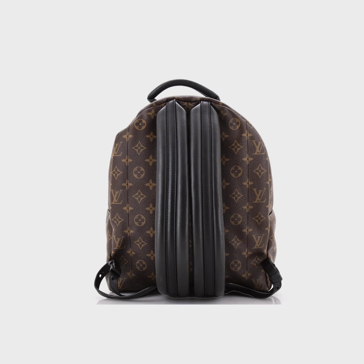 Louis Vuitton Palm Springs MM