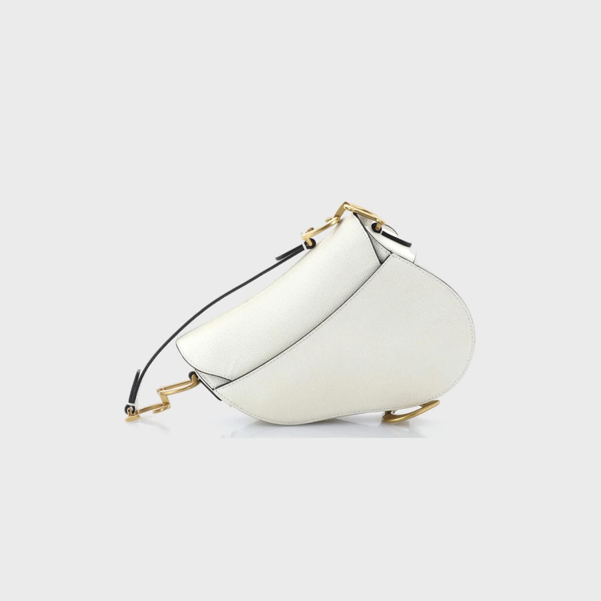 Christian Dior Saddle Mini
