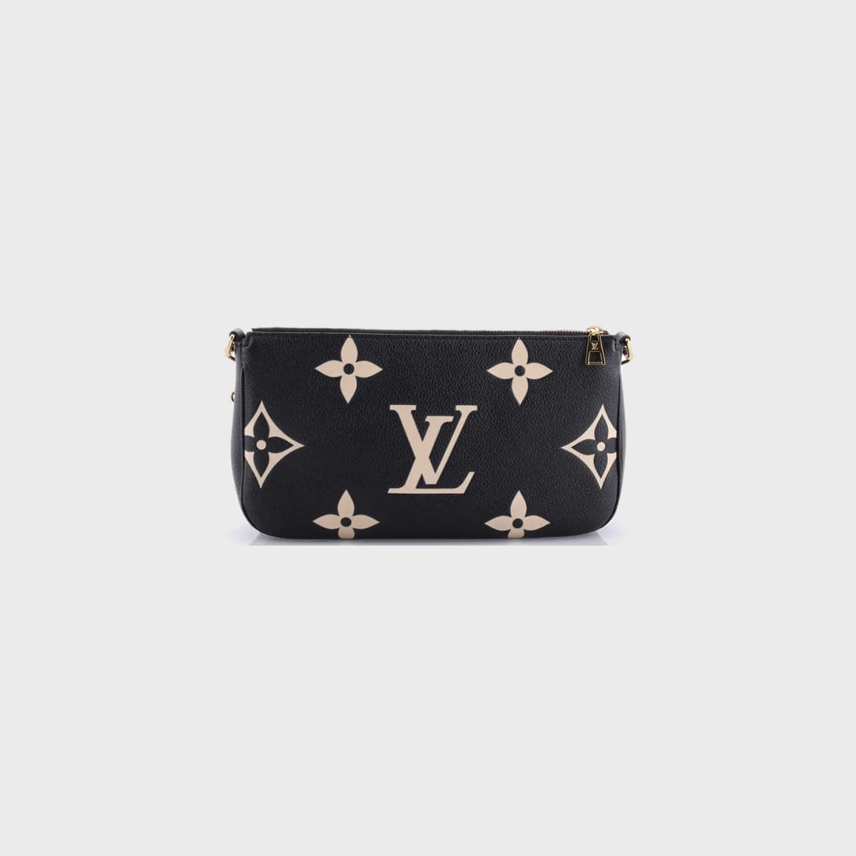 Louis Vuitton Multi