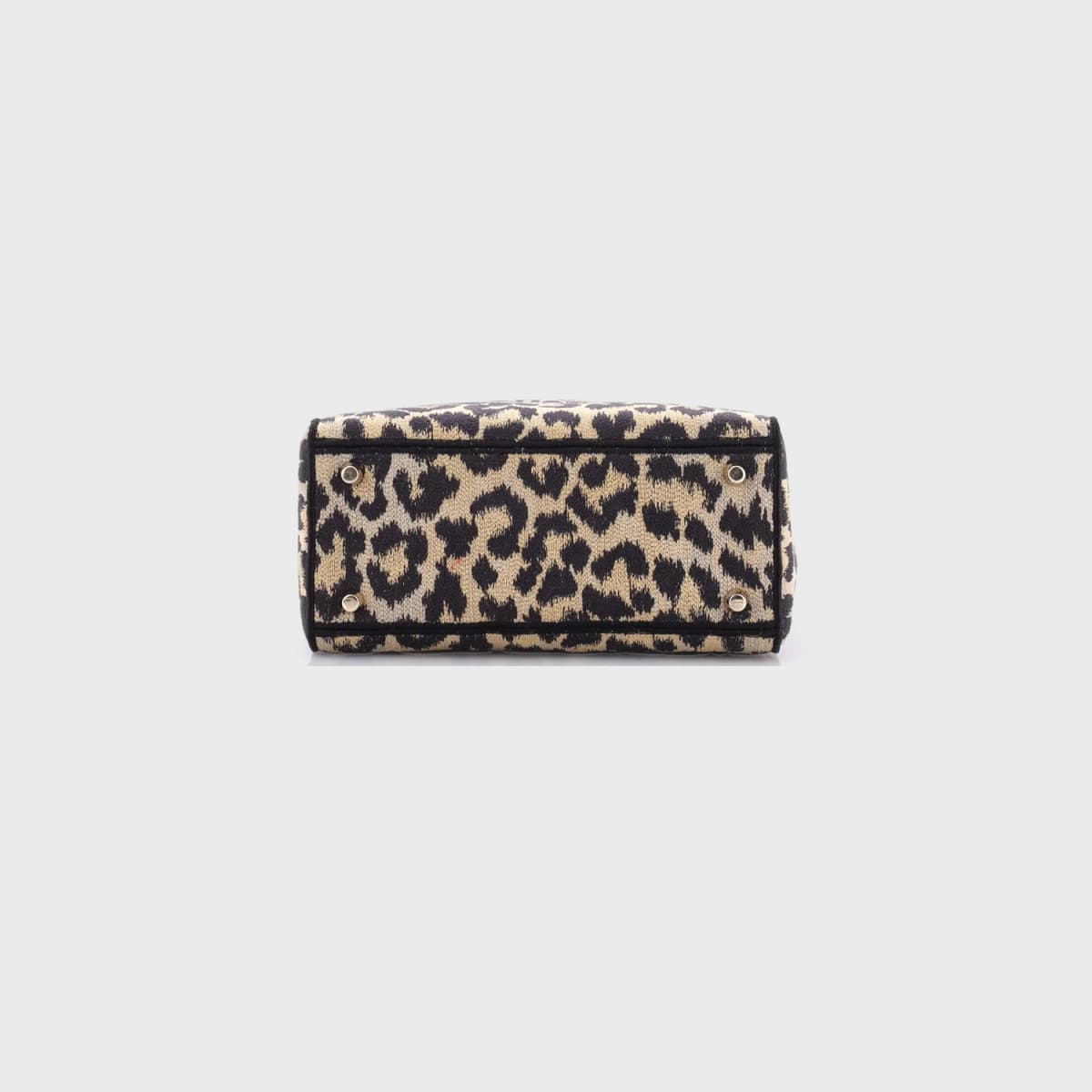 Christian Dior Lady Dior Mizza