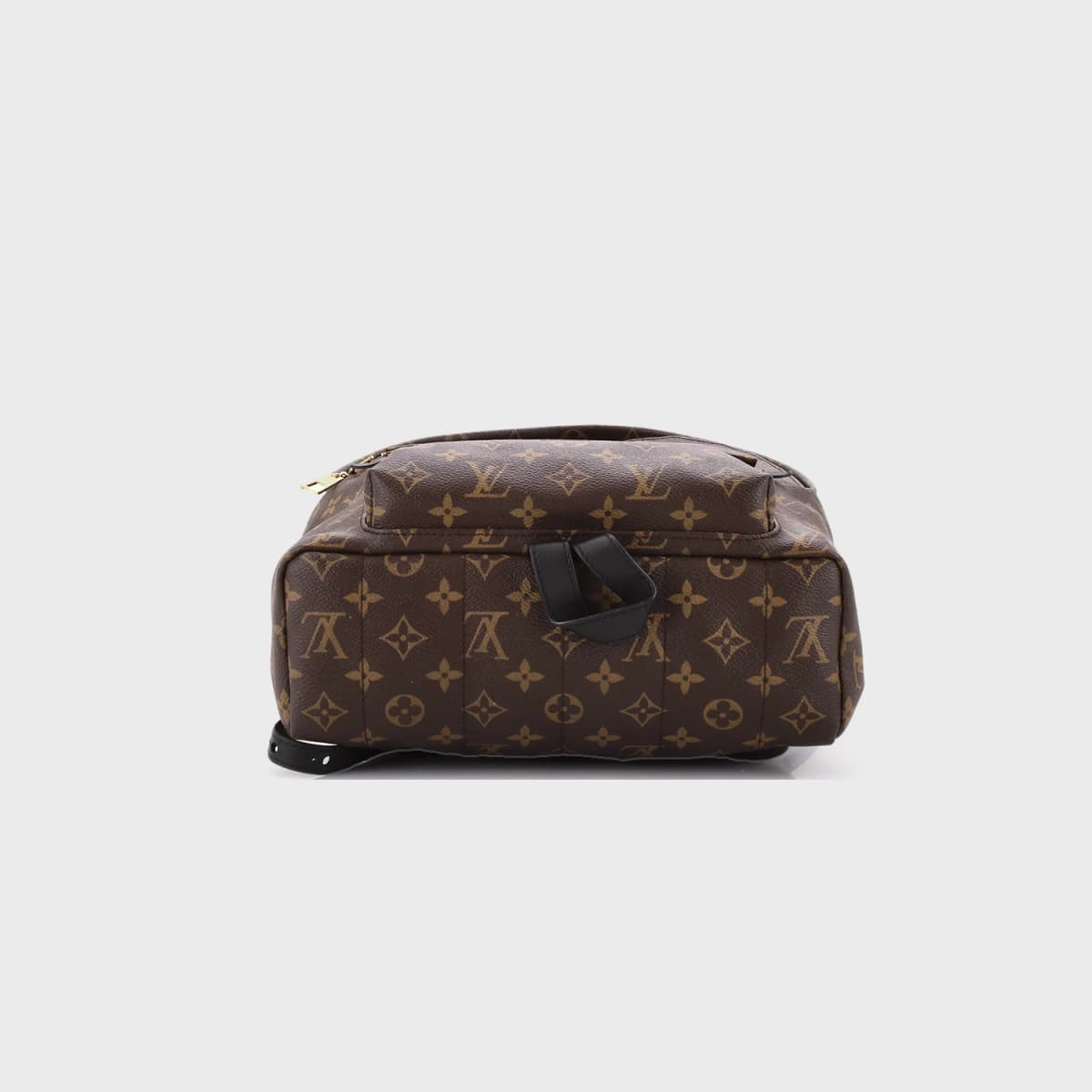 Louis Vuitton Palm Springs MM