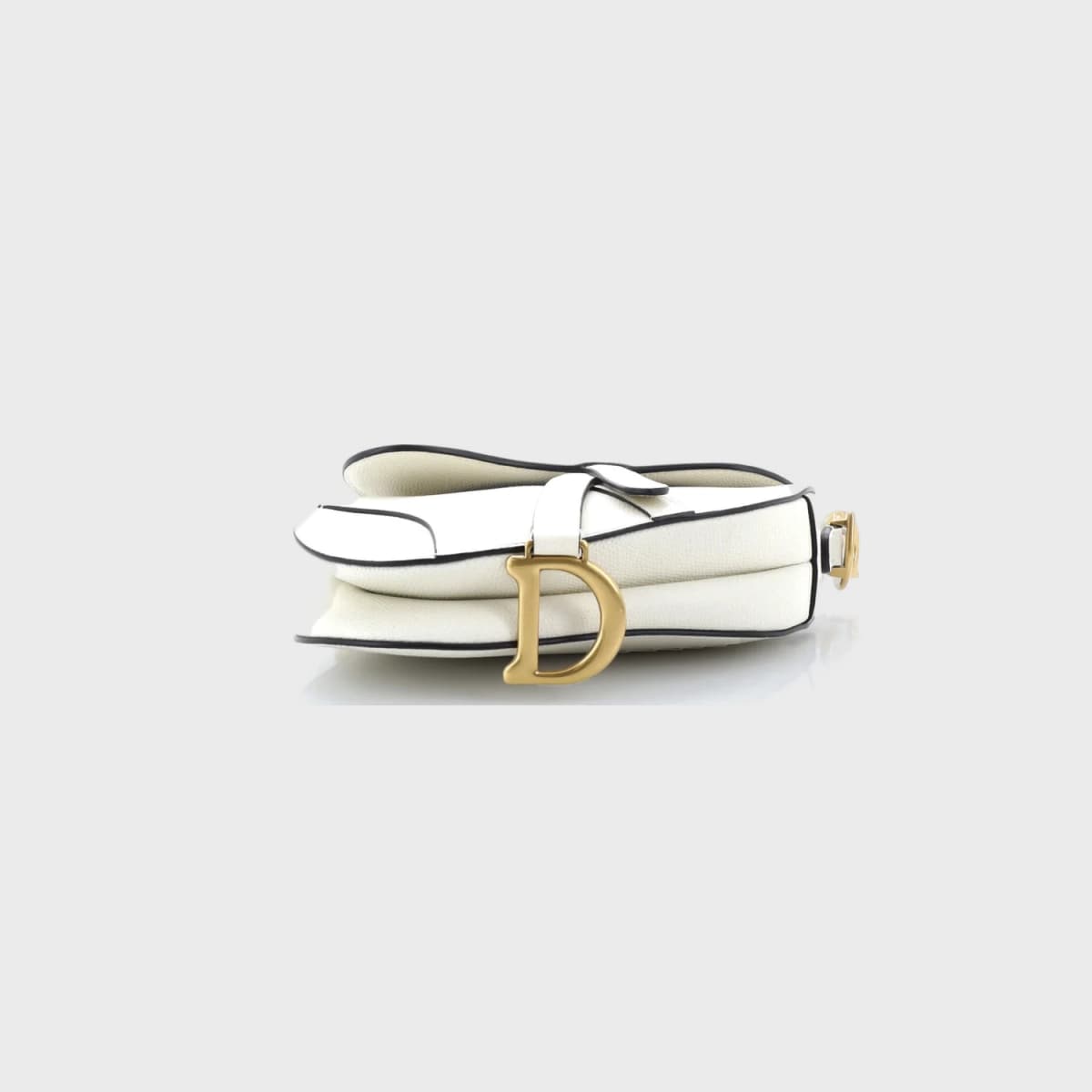 Christian Dior Saddle Mini