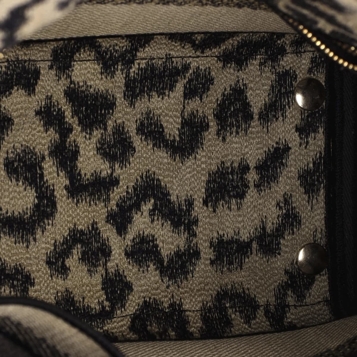 Christian Dior Lady Dior Mizza