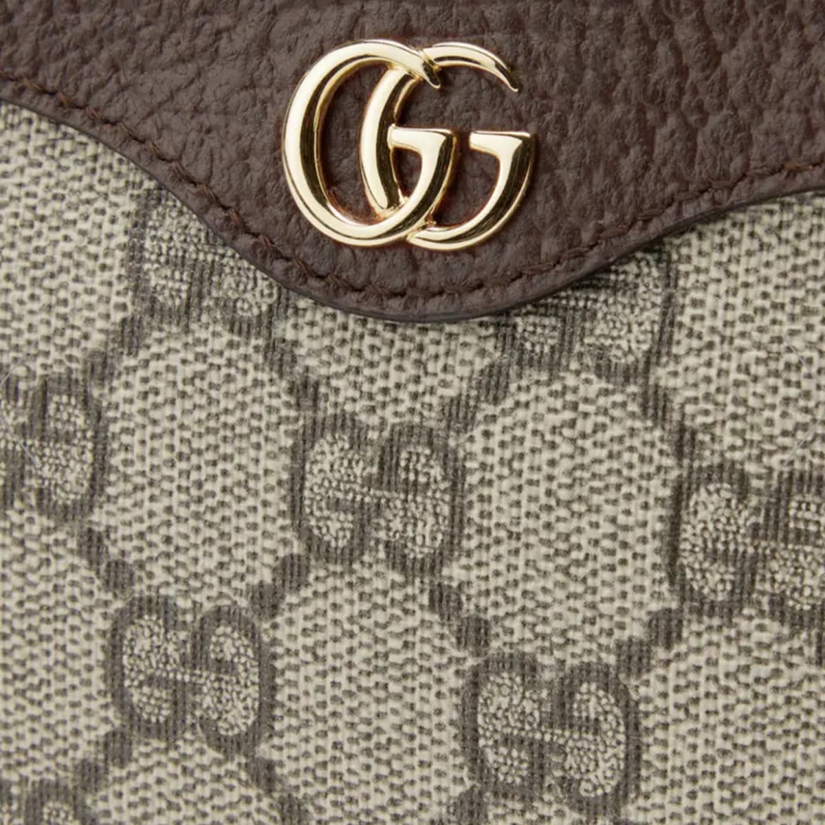 Gucci Ophidia