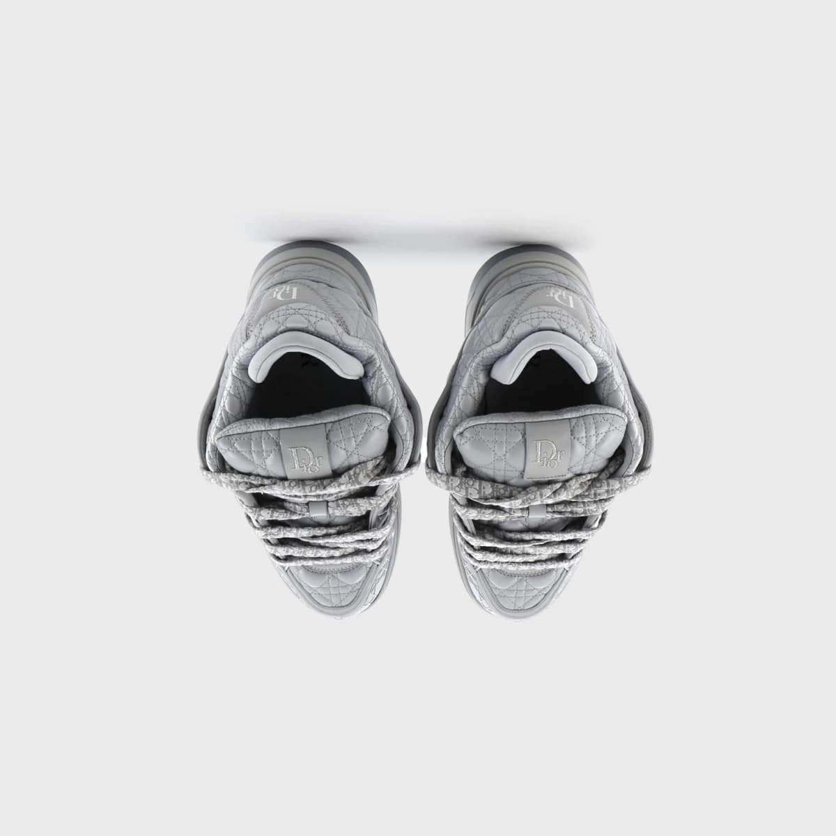 Christian Dior B9S Skater