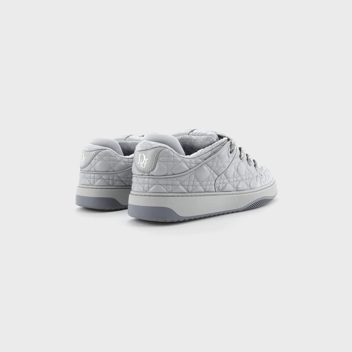 Christian Dior B9S Skater