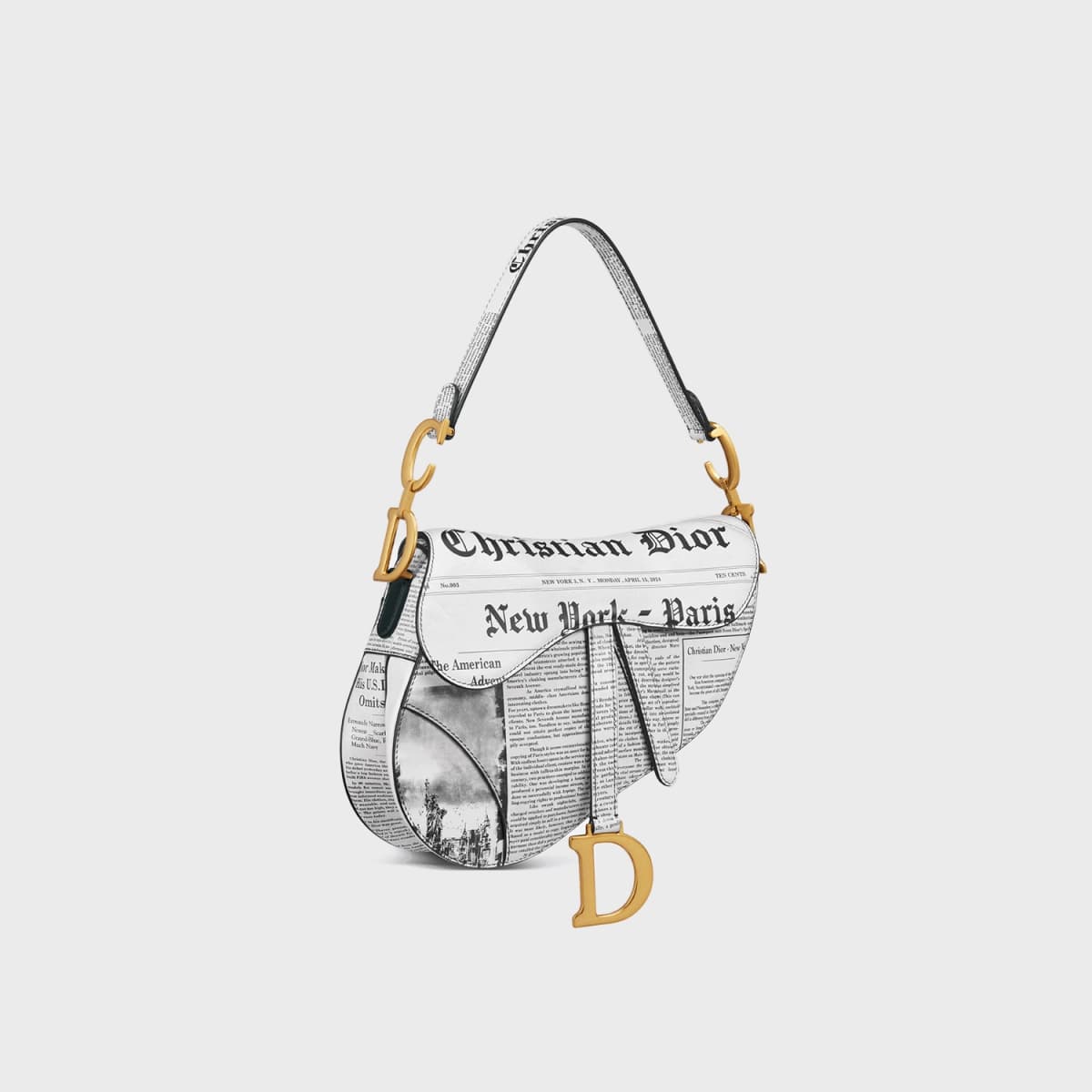 Christian Dior Saddle
