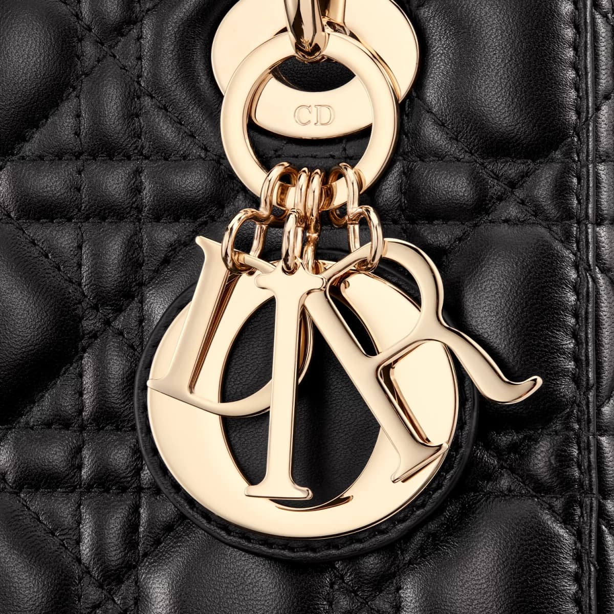 Christian Dior Lady Dior