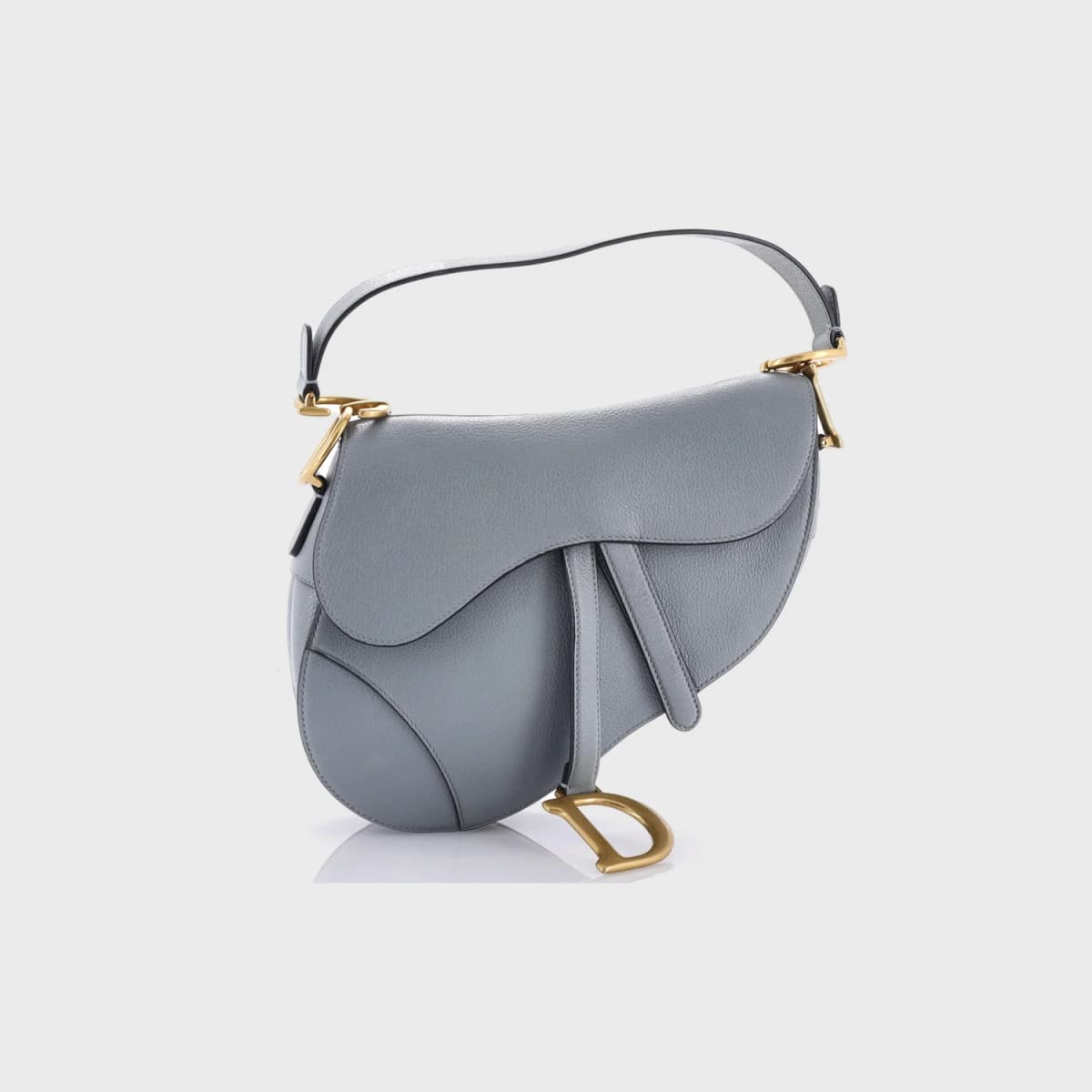 Christian Dior Saddle