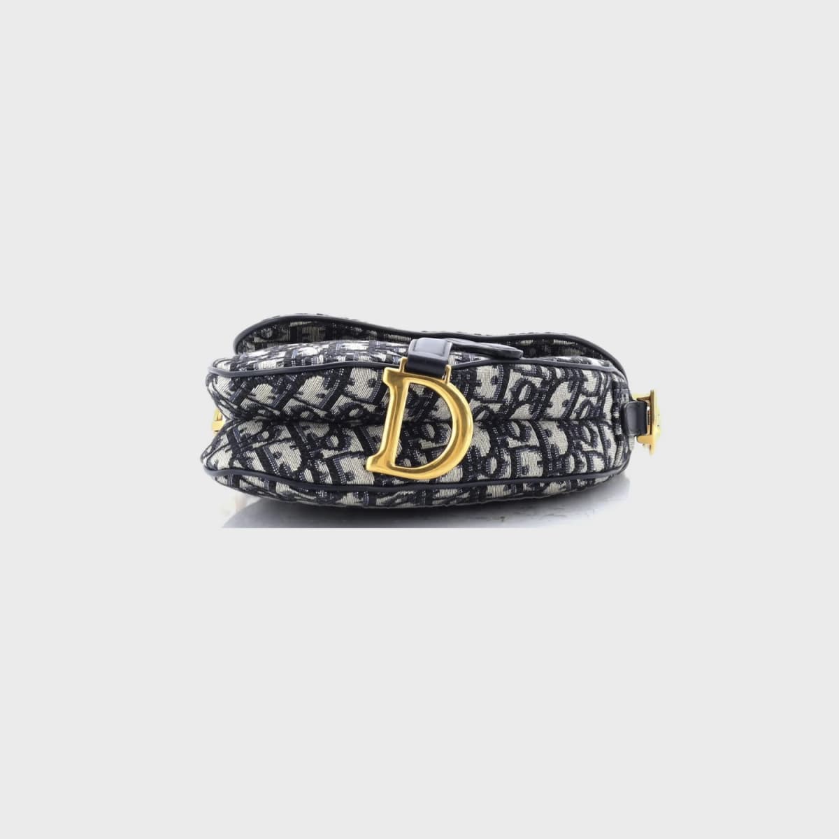 Christian Dior Saddle