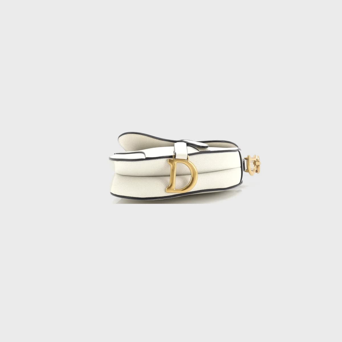 Christian Dior Saddle