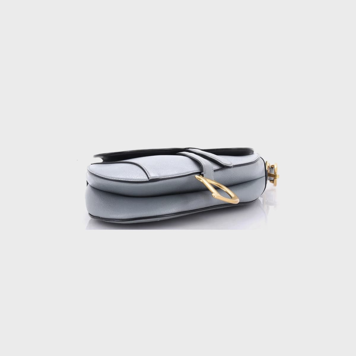 Christian Dior Saddle