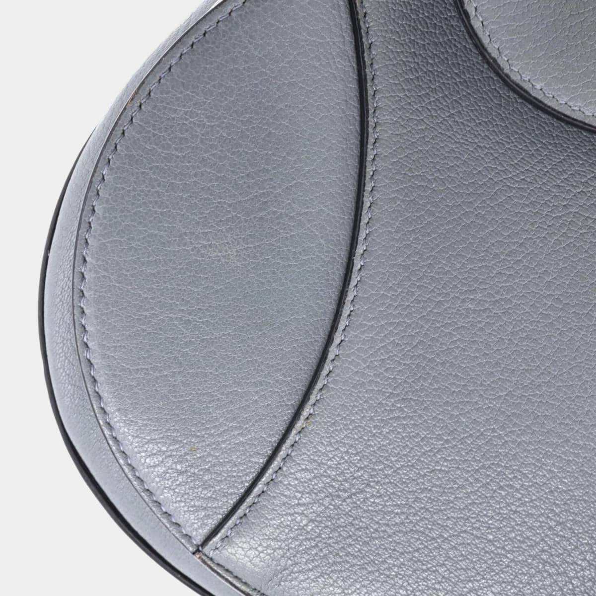 Christian Dior Saddle