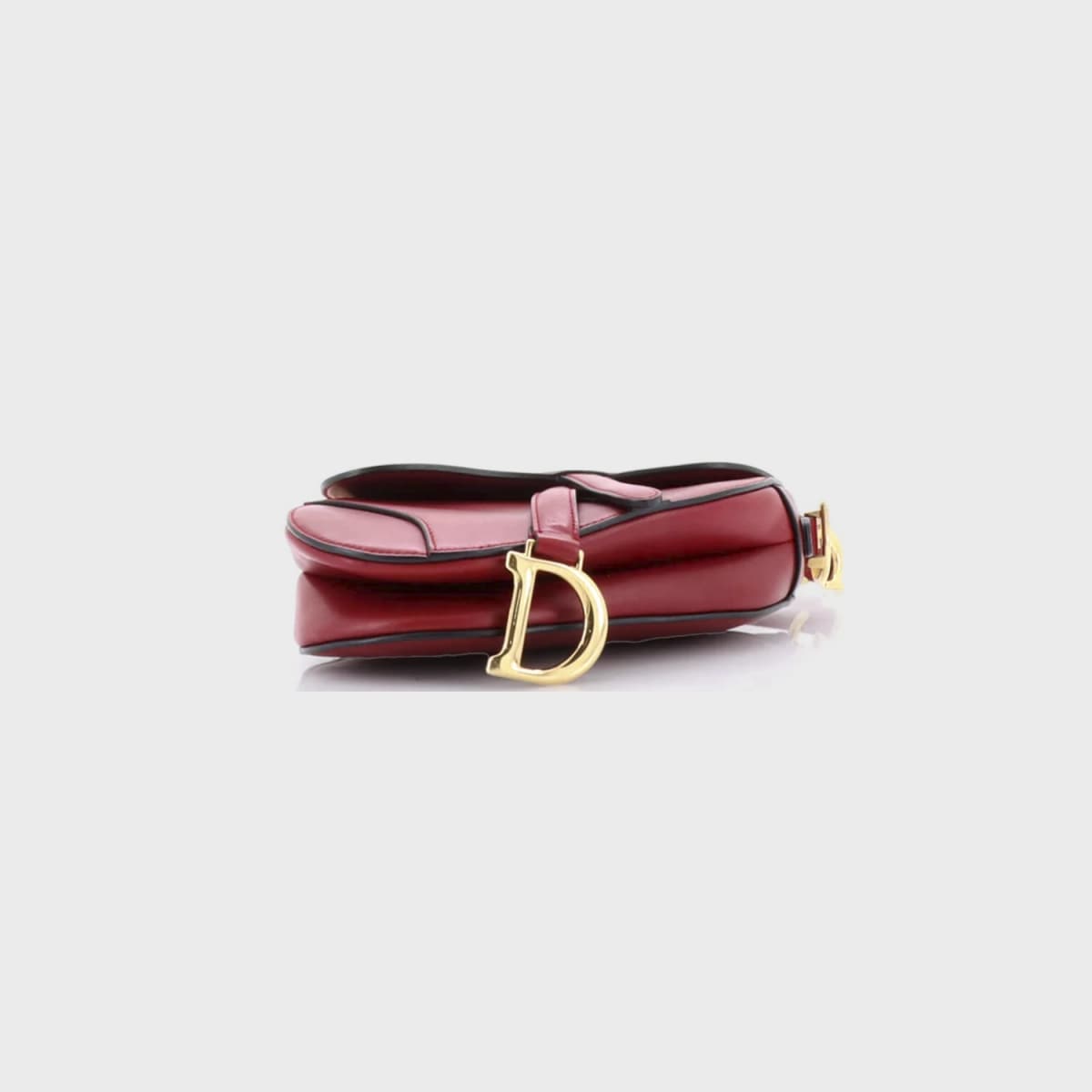 Christian Dior Saddle