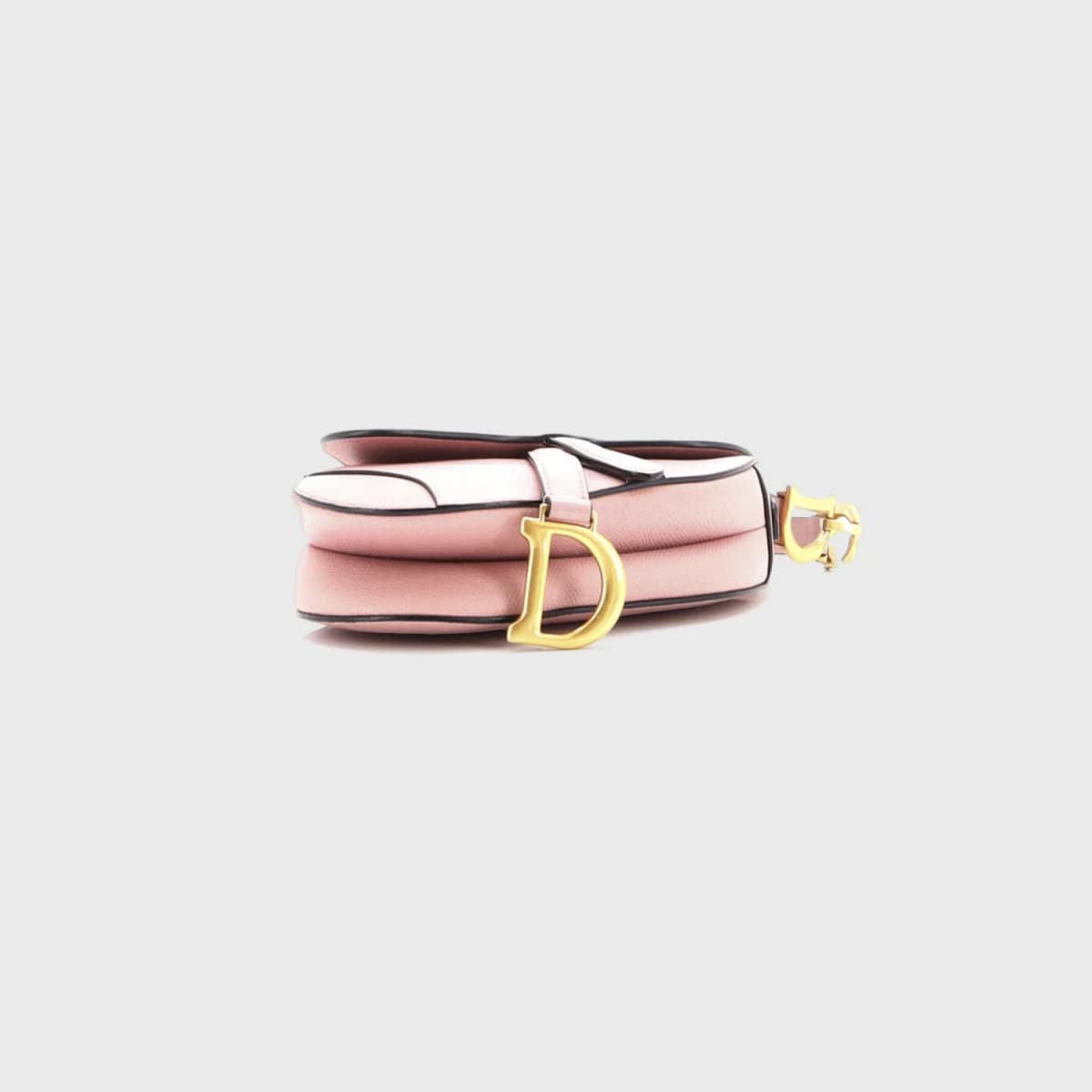 Christian Dior Saddle