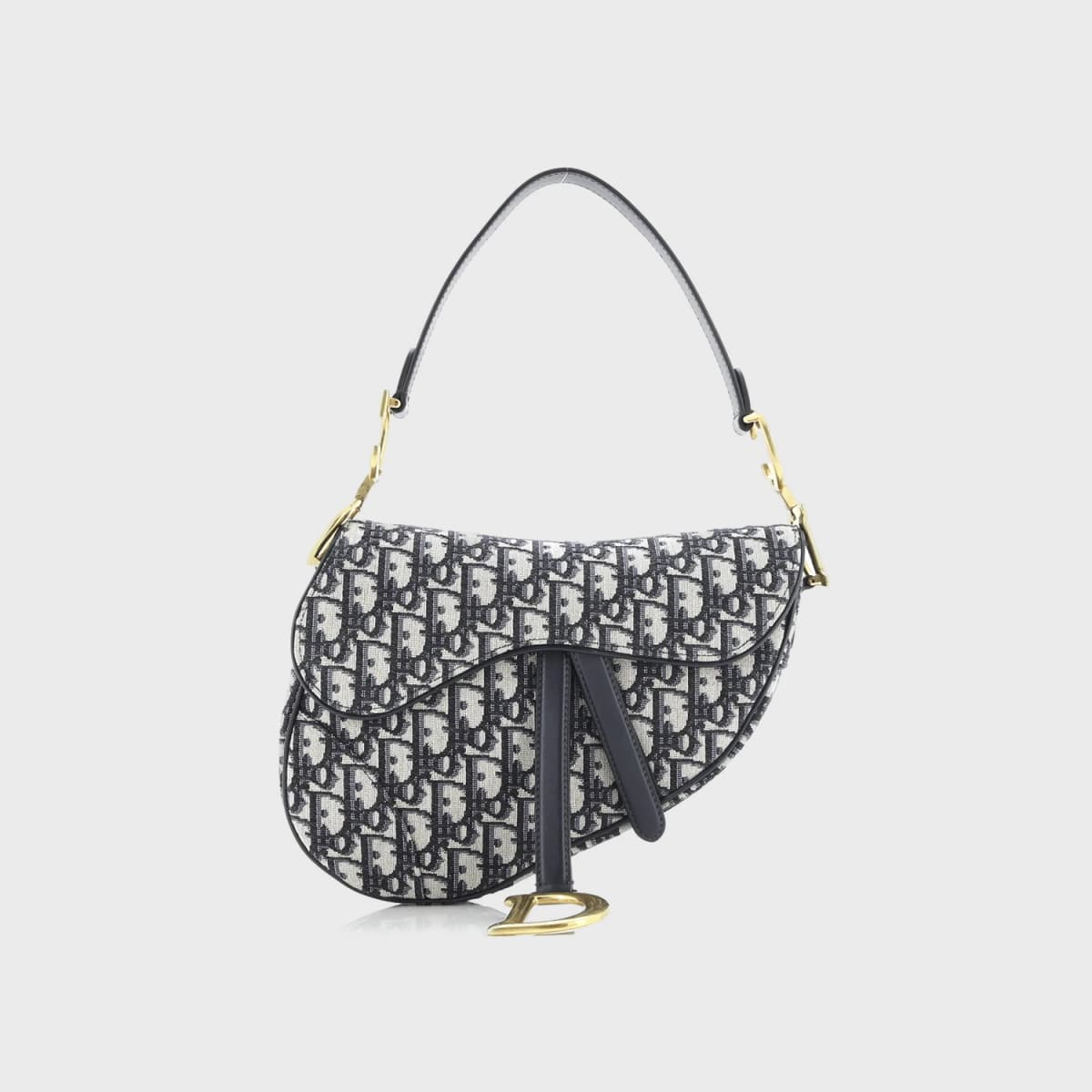 Christian Dior Saddle