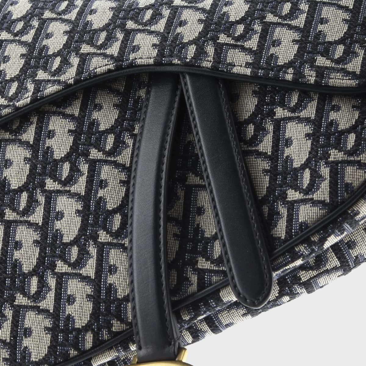 Christian Dior Saddle
