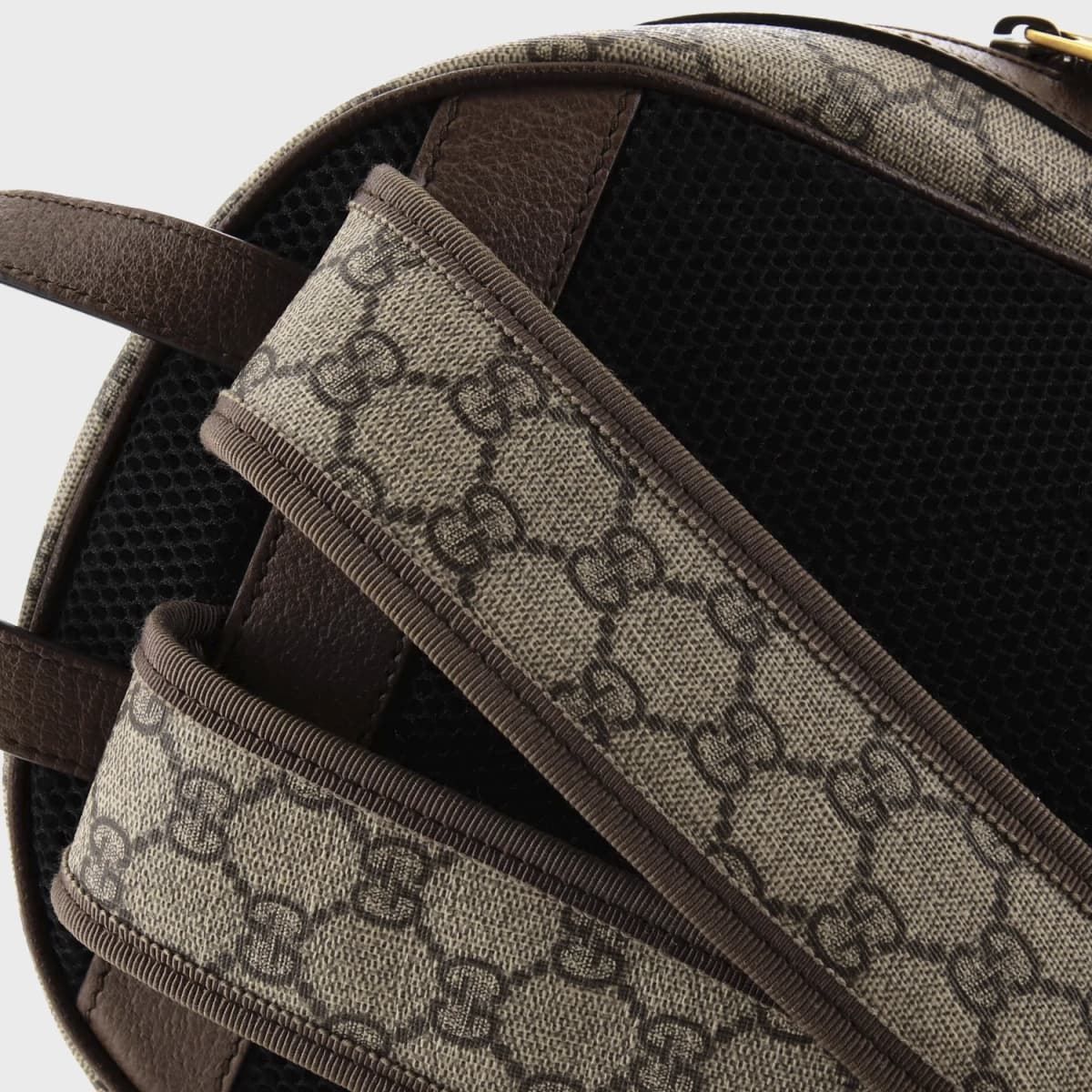 Gucci Ophidia