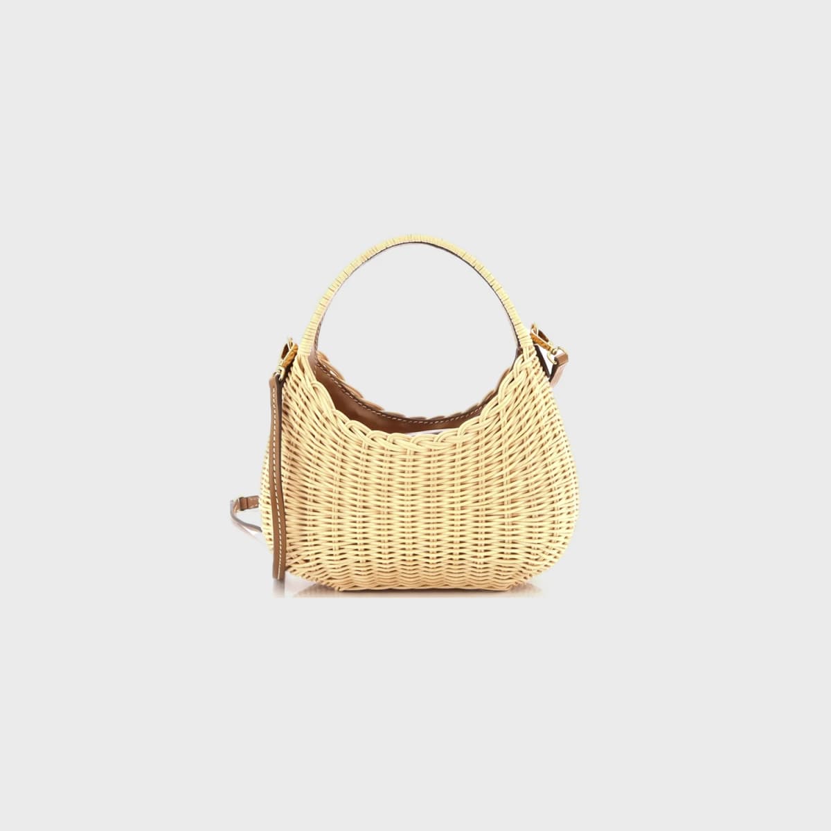 Miu Miu Wander Mini