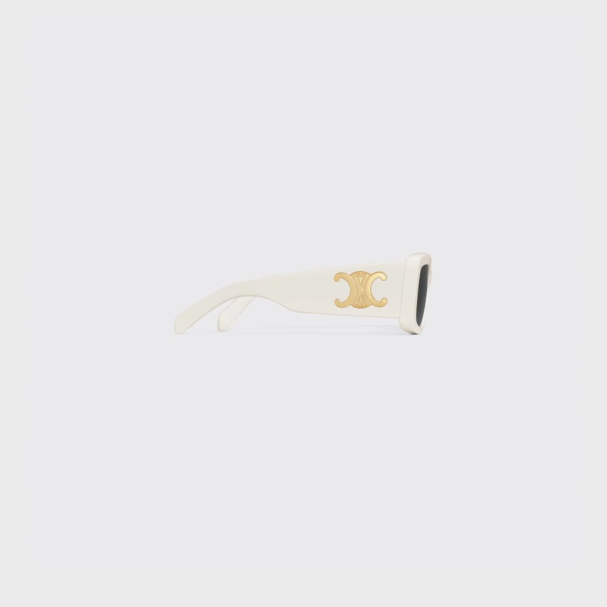 Celine Triomphe XL 01 Sunglasses in Acetate