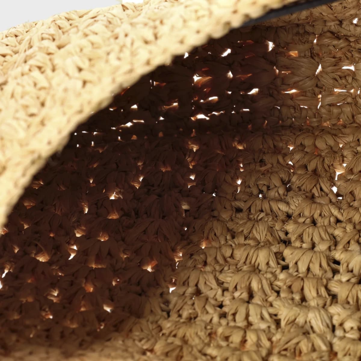 Celine Hobo Raffia