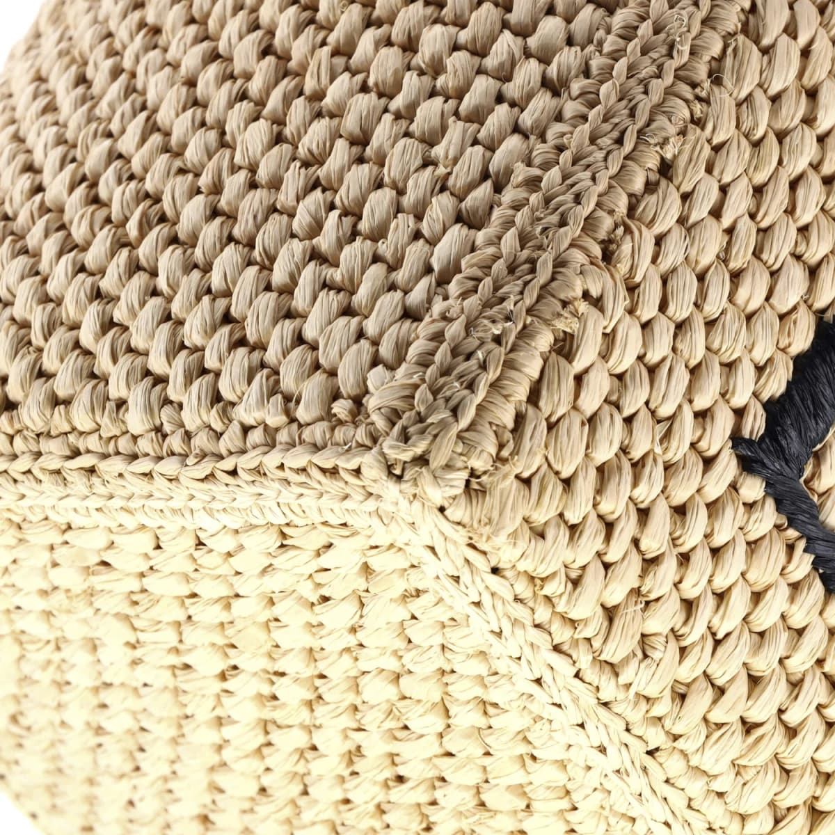Loewe Tote Raffia