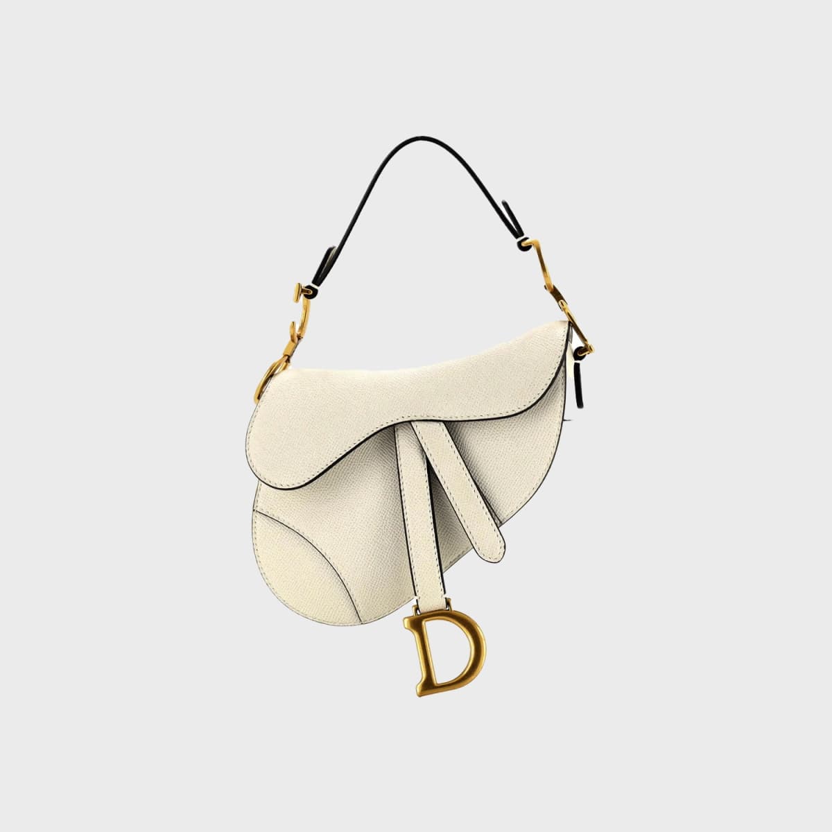 Christian Dior Saddle Mini