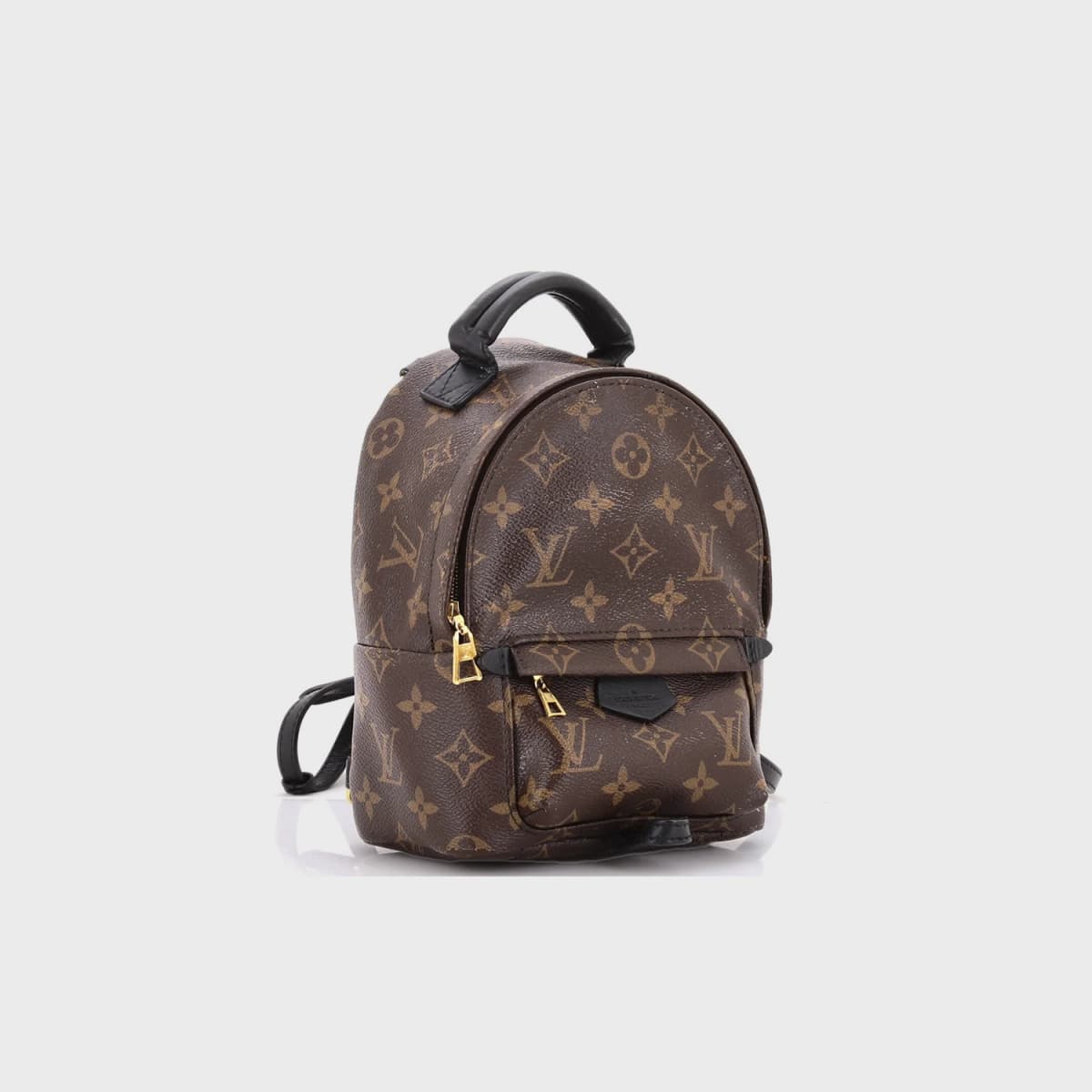 Louis Vuitton Palm Springs