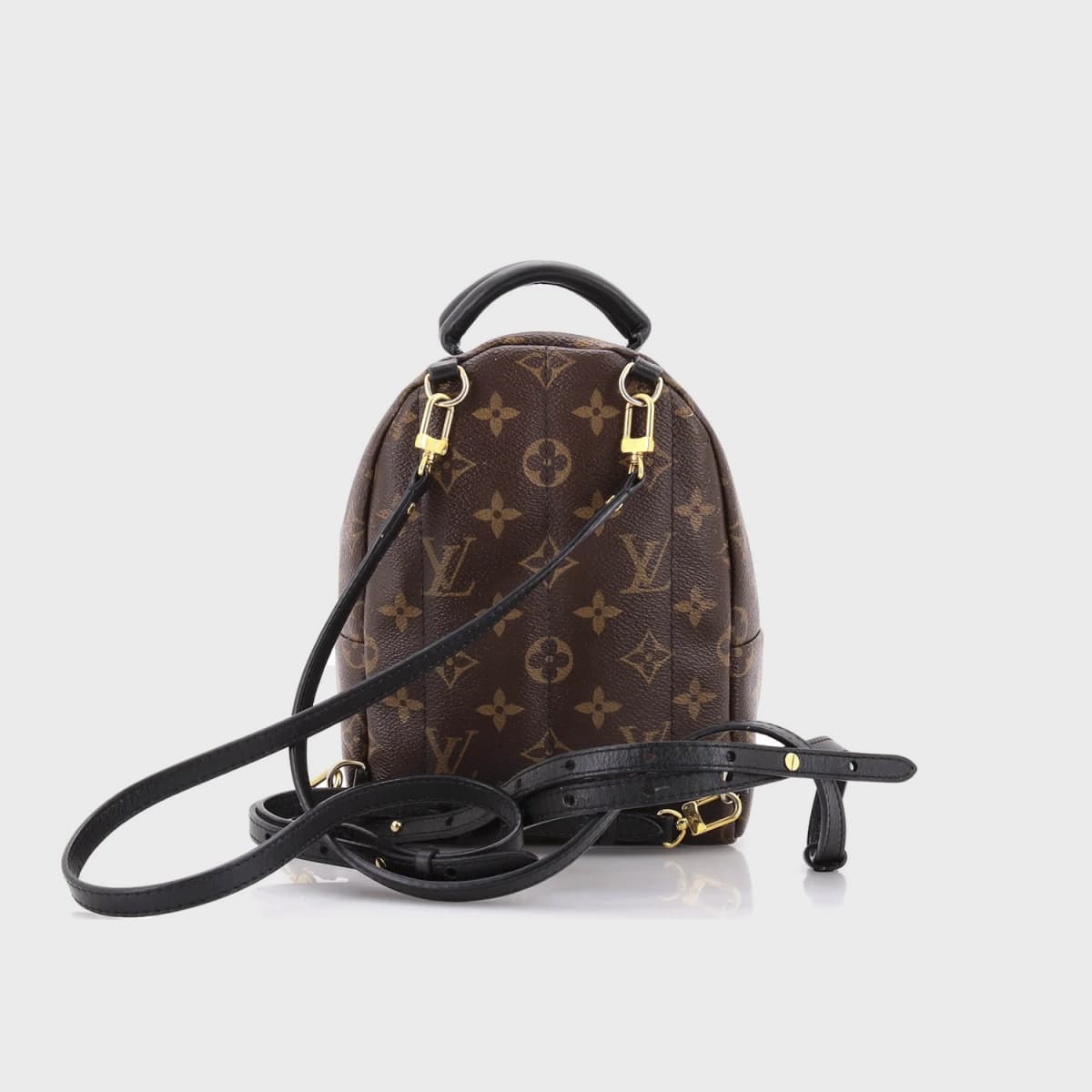 Louis Vuitton Palm Springs