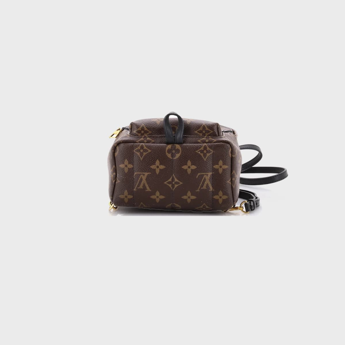 Louis Vuitton Palm Springs