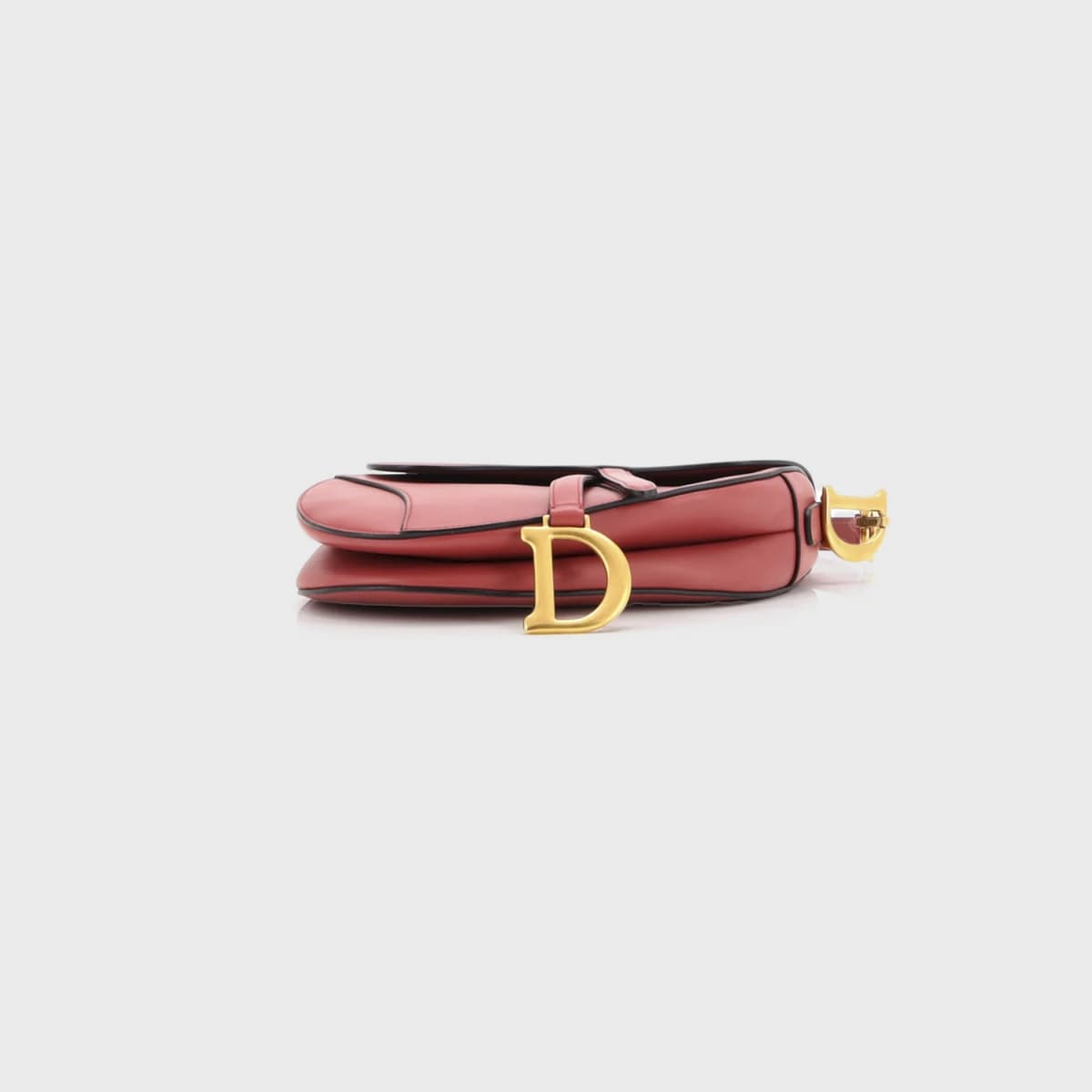 Christian Dior Saddle