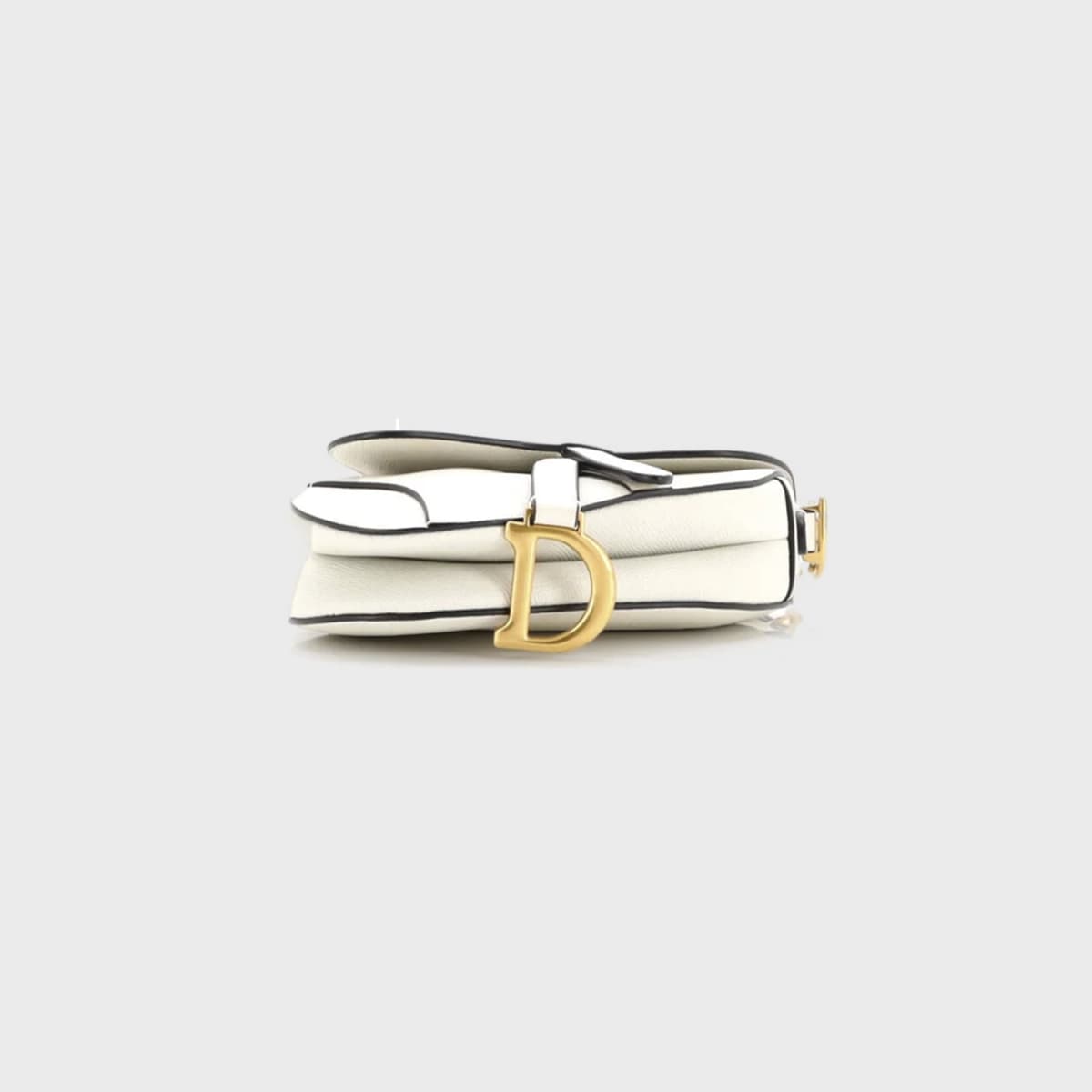 Christian Dior Saddle Mini