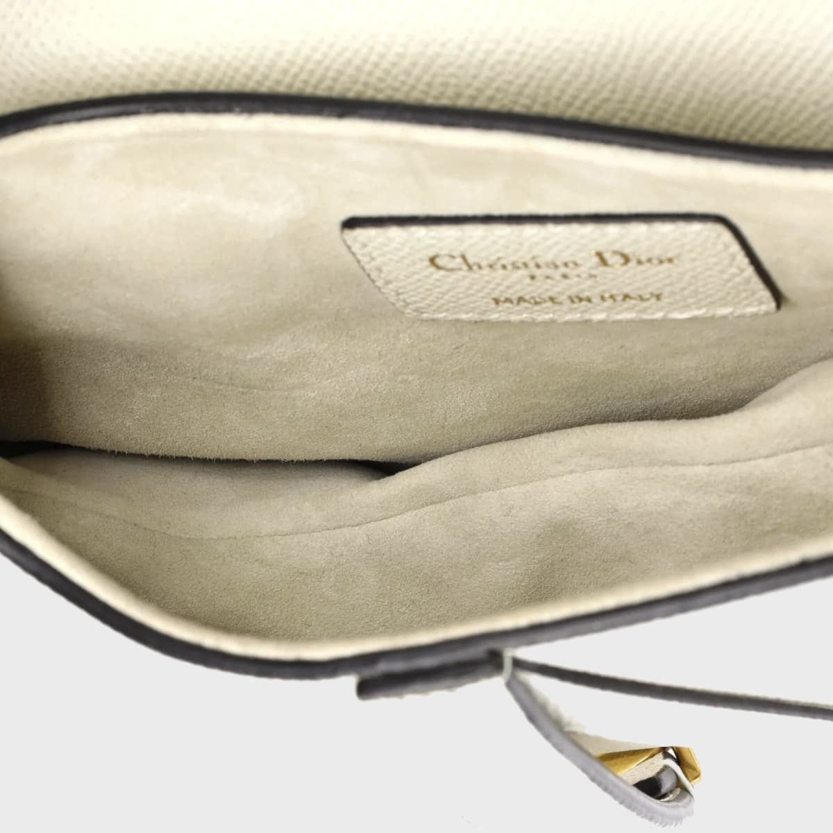 Christian Dior Saddle Mini